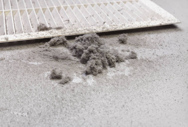 Affordable HVAC Duct Cleaning in Princeton, MO