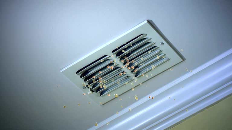 Best Emergency Air Duct Cleaning  in Princeton, MO