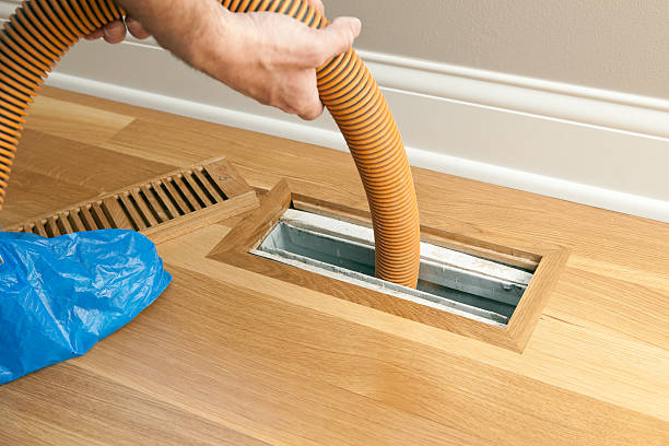 Best Air Duct Cleaning Near Me  in Princeton, MO