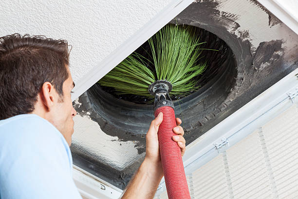 Best Affordable Duct Cleaning Services  in Princeton, MO