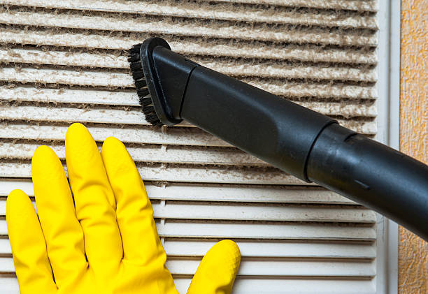 Best Air Duct Sanitizing Services  in Princeton, MO